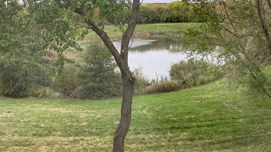 Kontorfællesskaber til leje i Roskilde - billede 14