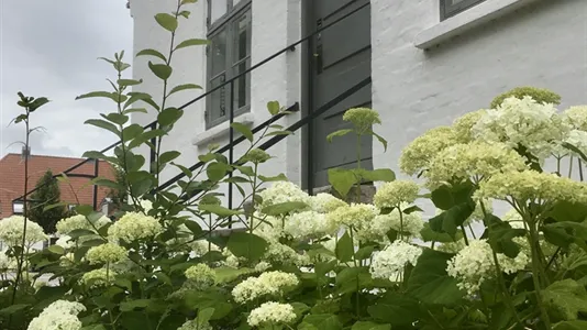 Kliniklokaler til leje i Odense S - billede 4