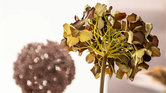 Kontorlokaler til leje i Herning - billede 23